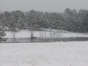 Pond at Shady Pines Cabin